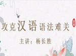 杨长胜 攻克中文汉语语法难关10讲视频